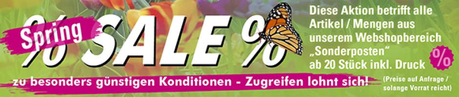 Spring Sale Homepage Banner