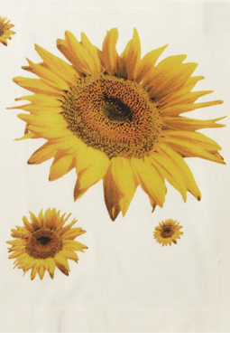 Direktsiebdruck 4c Rastermotiv Sonnenblume
